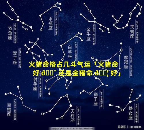 火猪命格占几斗气运「火猪命好 🐯 还是金猪命 🐦 好」